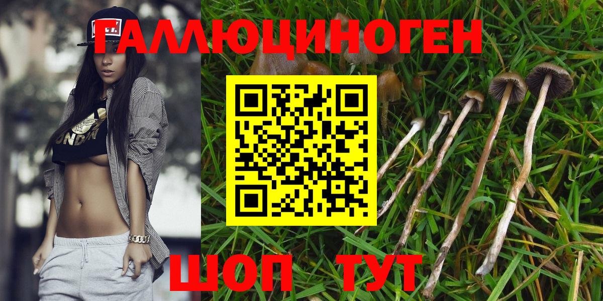 купить   Псилоцибиновые грибы Magic Shrooms  Вход с VPN  Артём 