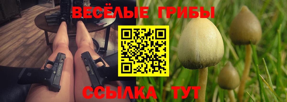 Псилоцибиновые грибы Cubensis Артём