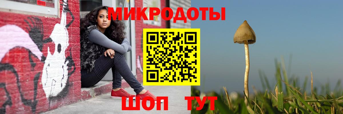 Галлюциногенные грибы GOLDEN TEACHER  Артём 